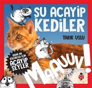 Teklif Kitap
