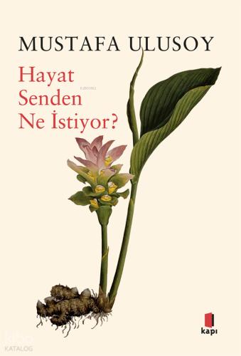 Teklif Kitap