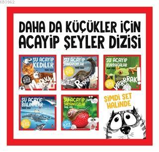 Teklif Kitap