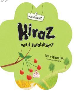 Teklif Kitap