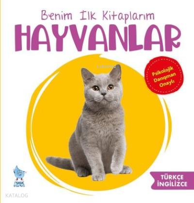 Teklif Kitap