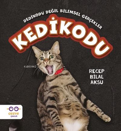 Teklif Kitap