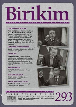 Birikim Sayı 293