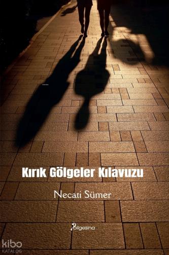 Kırık Gölgeler Kılavuzu