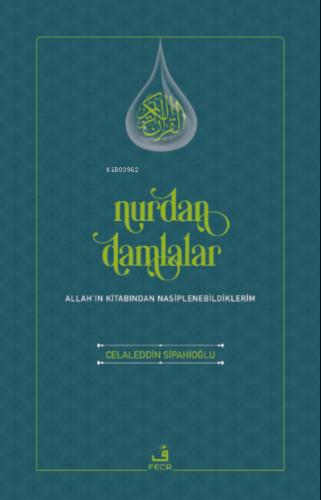 Nurdan Damlalar 2