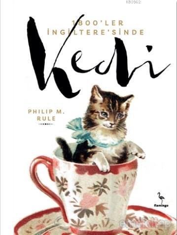 Teklif Kitap