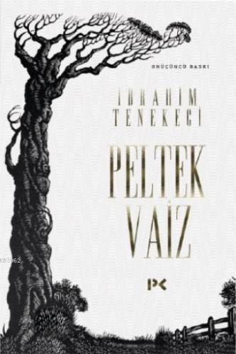 Peltek Vaiz