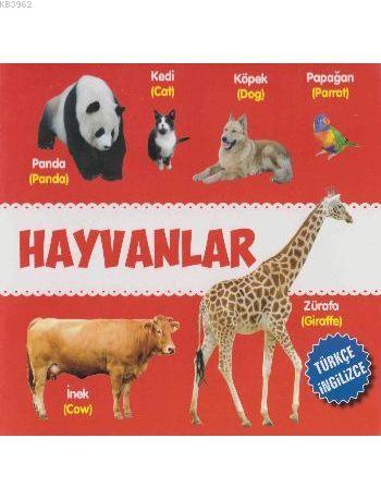 Teklif Kitap