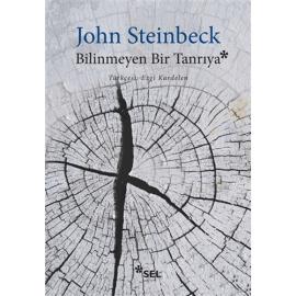 Bilinmeyen Bir Tanrıya