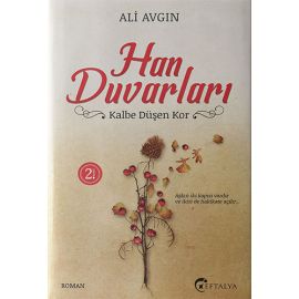 Han Duvarları