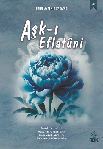 Aşk ı Eflatuni