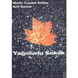Yağmurlu Sokak