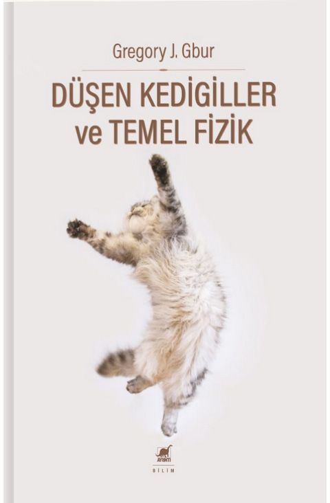 Du şen Kedigiller ve Temel Fizik
