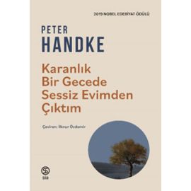 Karanlık Bir Gecede Sessiz Evimden Çıktım