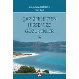 Çarkıfelekten Hissemize Gözükenler 2
