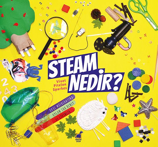 Steam Nedir
