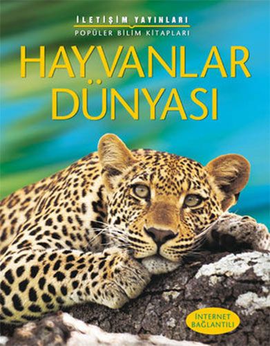 Küçük Hayvanlar
