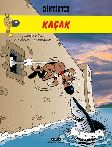 Kaşağı