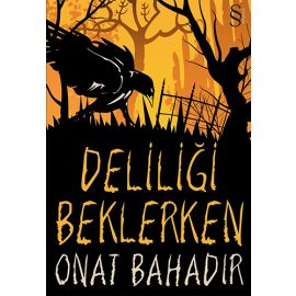 Deliliği Beklerken