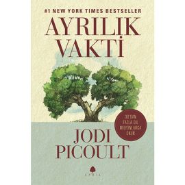 Ayrılık Vakti