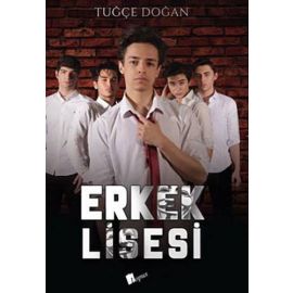 Erkek Lisesi