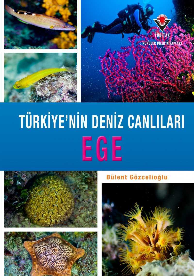 TÜBİTAK Yayınları