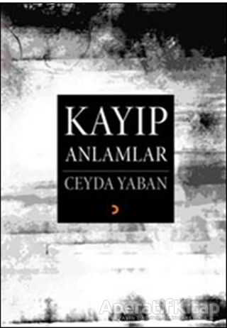 Kayıp Anlamlar