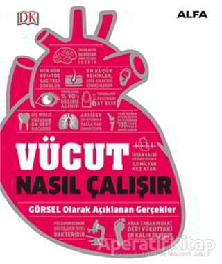 Vücut Nasıl Çalışır