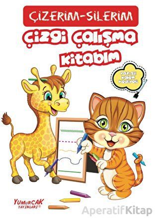 Çizgi Çalışma Kitabım