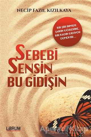 Sebebi Sensin Bu Gidişin