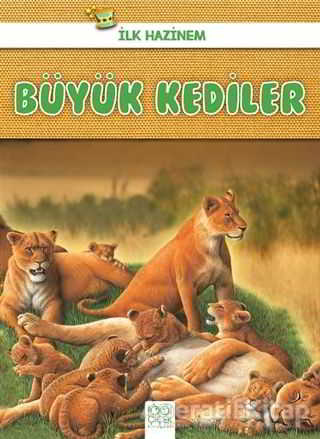 Büyük Kediler İlk Hazinem