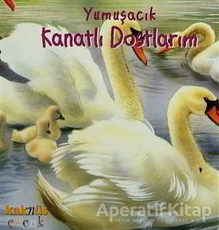 Ucuz Kitap Al