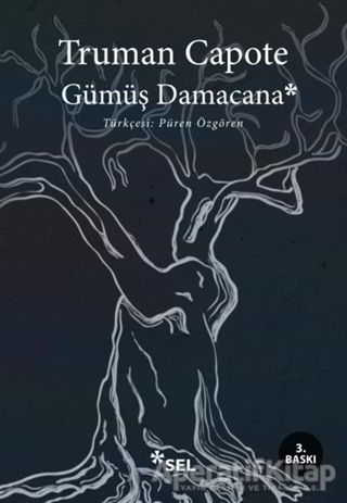 Gümüş Damacana