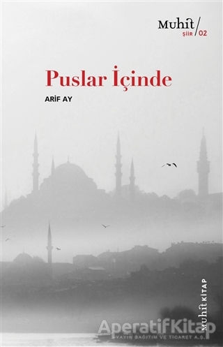 Puslar İçinde