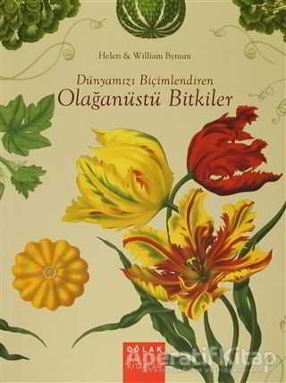 Dünyamızı Biçimlendiren Olağanüstü Bitkiler