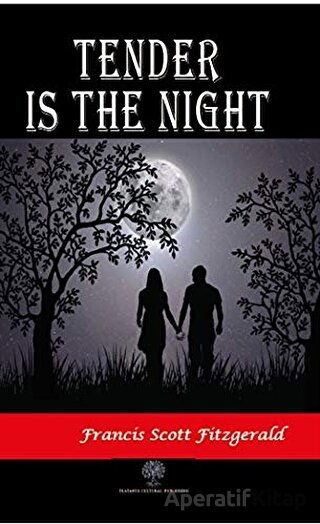 Tender is the Night Francis Scott Key Fitzgerald 30 İndirim