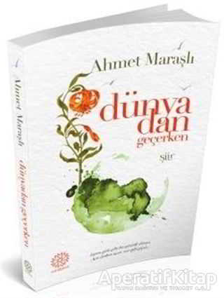 Dünyadan Geçerken