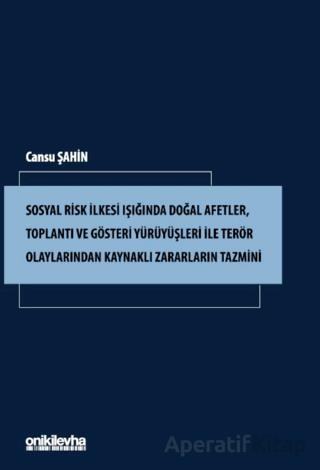 Sosyal Risk İlkesi Işığında Doğal Afetler Toplantı ve Gösteri Yürüyüşleri ile Terör Olaylarından Kaynaklı Zararların Tazmini