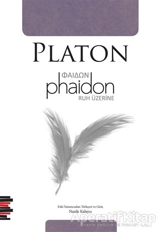 Phaidon Ruh Üzerine