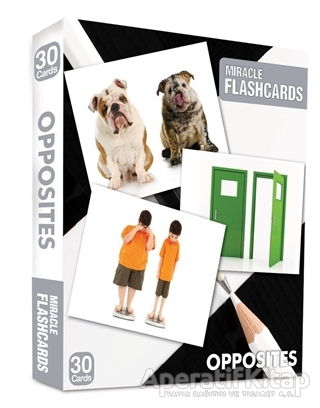 Miracle Flashcards Household Objects Box 45 Cards