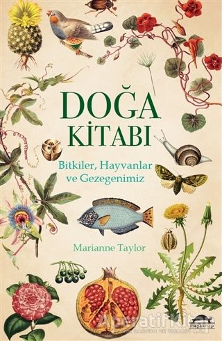 Ucuz Kitap Al