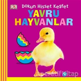 Dokun Hisset Keşfet Yavru Hayvanlar