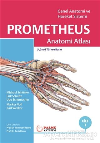 Prometheus Anatomi Atlası Cilt 2