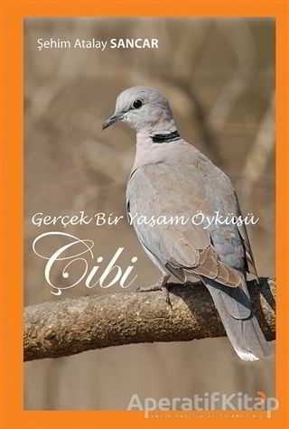Gerçek Bir Yaşam Öyküsü Çibi