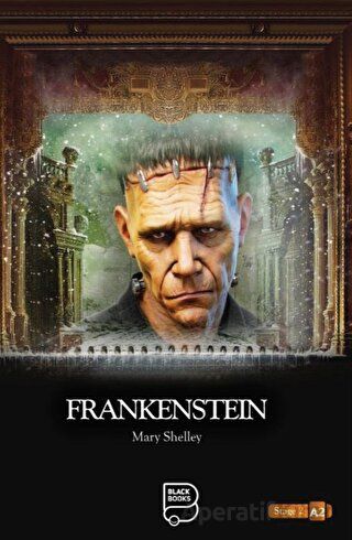 Frankenstein Mary Shelley 15 İndirim