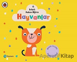 Bebek Dokun Öğren Hayvanlar
