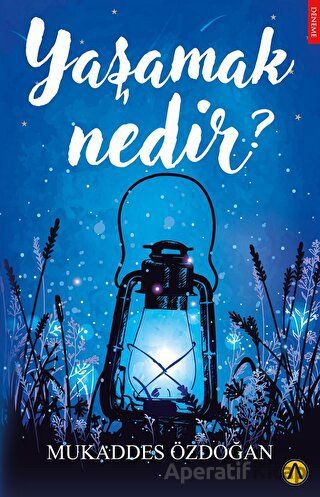 Yaşamak Nedir
