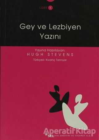 Gey ve Lezbiyen Yazını
