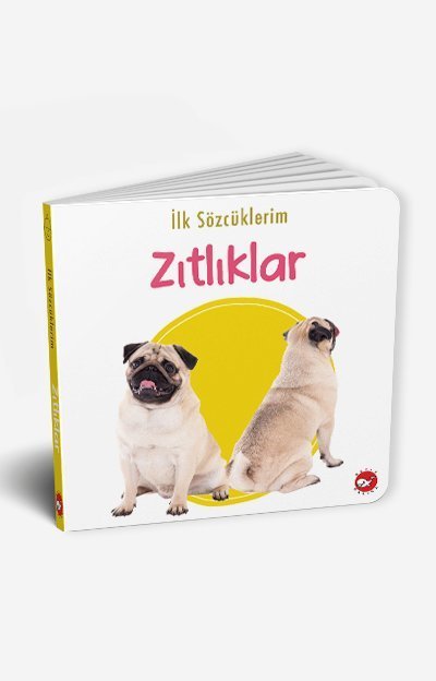 İlk Sözcüklerim Oyuncaklar