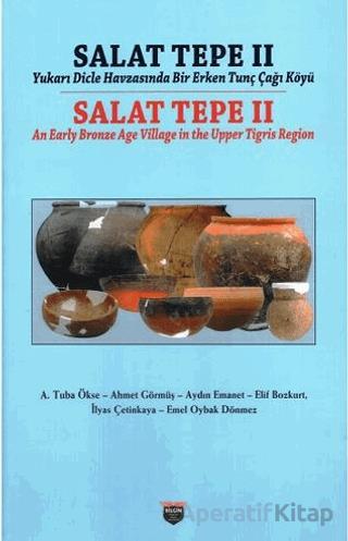 Salat Tepe II Yukarı Dicle Havzasında Bir Erken Tunç Çağı Köyü